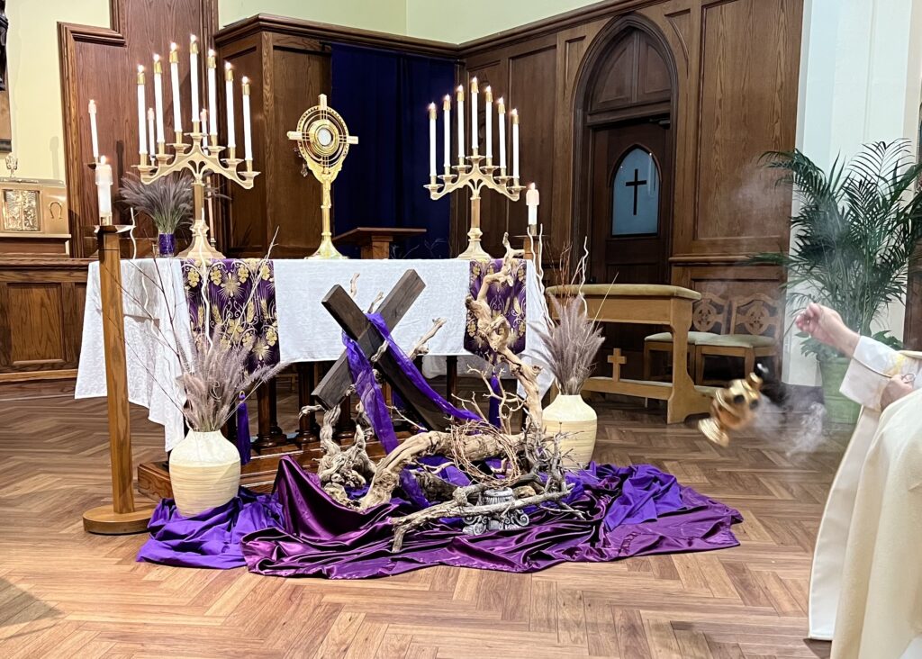 General Search Catholic Diocese Of San Diego general-search-catholic-diocese-of-san-diego