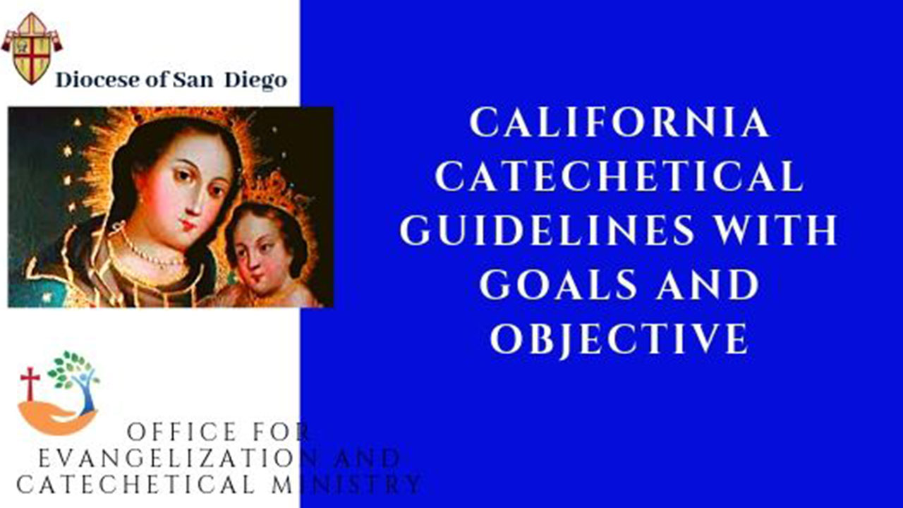 guidelines-the-roman-catholic-diocese-of-san-diego